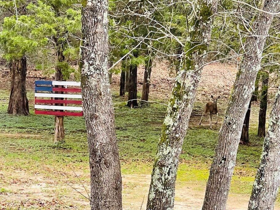 Villa Bastrop Tiny Disc Golf Retreat Exterior foto